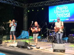 ukulele (6)